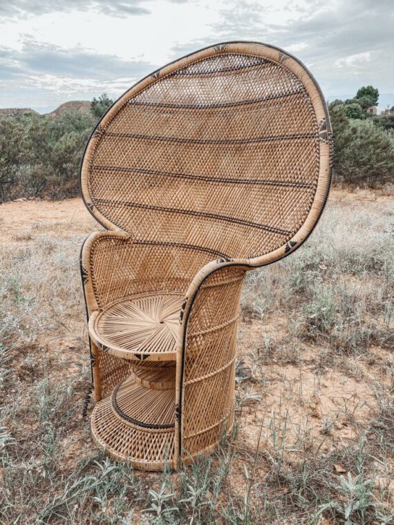 Peacock Chair # 1