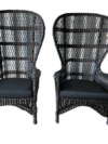 Black Peacock Chairs - Set of 2